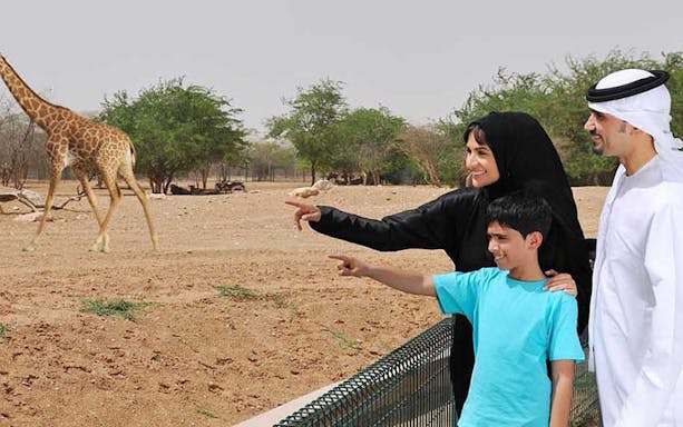 Family observing giraffe at Al Ain Zoo, UAE.