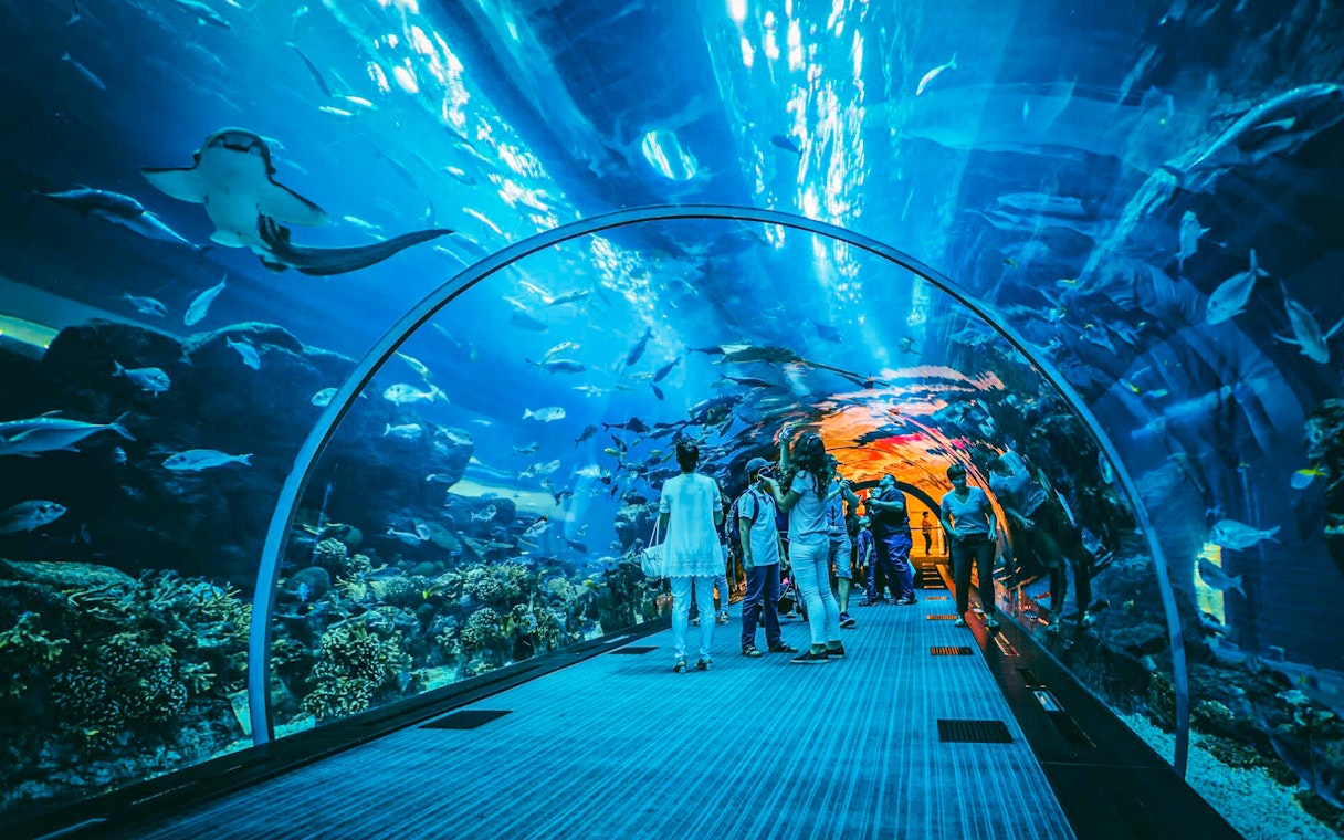 Visitors walking through an underwater tunnel at Dubai Aquarium, surrounded by marine life.