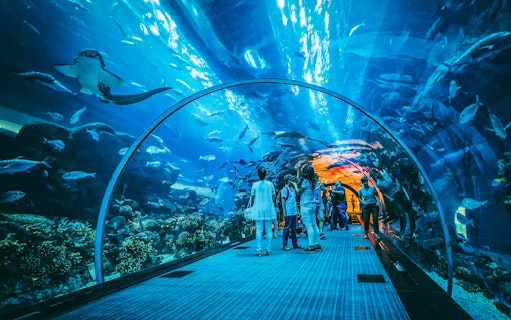 Visitors walking through an underwater tunnel at Dubai Aquarium, surrounded by marine life.