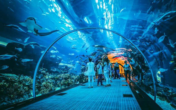 Visitors walking through an underwater tunnel at Dubai Aquarium, surrounded by marine life.