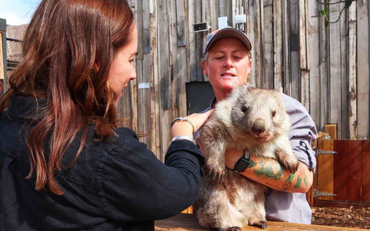 sydney zoo entry tickets-6 sydney zoo entry tickets-6