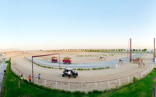 Camel racing track in Dubai with camels and vehicles preparing for a race.