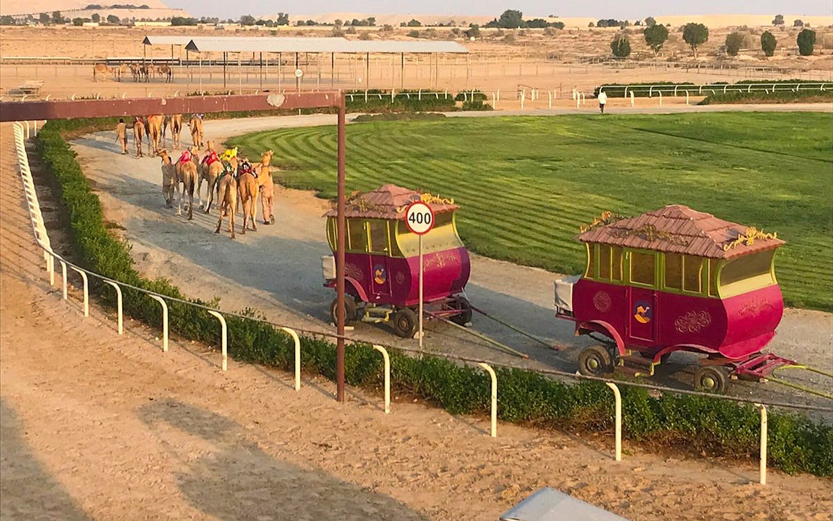 dubai royal camel race tickets-7 dubai royal camel race tickets-7