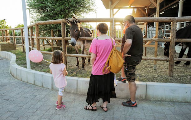 Visitors observing a donkey at FICO Eataly World in Bologna, Italy.