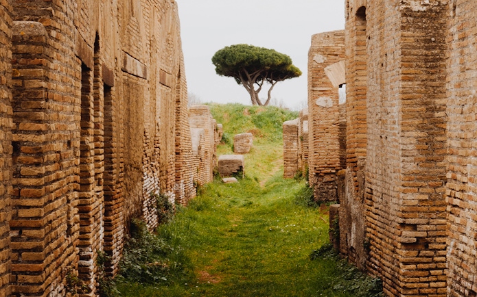 Ancient brick walls and a lone tree at Ostia Archaeological Park.