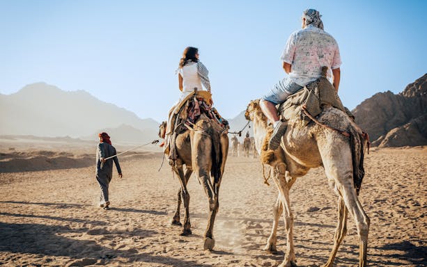 Camel ride through desert landscape in Fuerteventura's Oasis Wildlife experience.