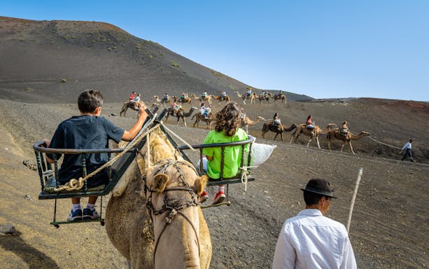 Camel ride through volcanic landscape in Fuerteventura's Oasis Wildlife Park.
