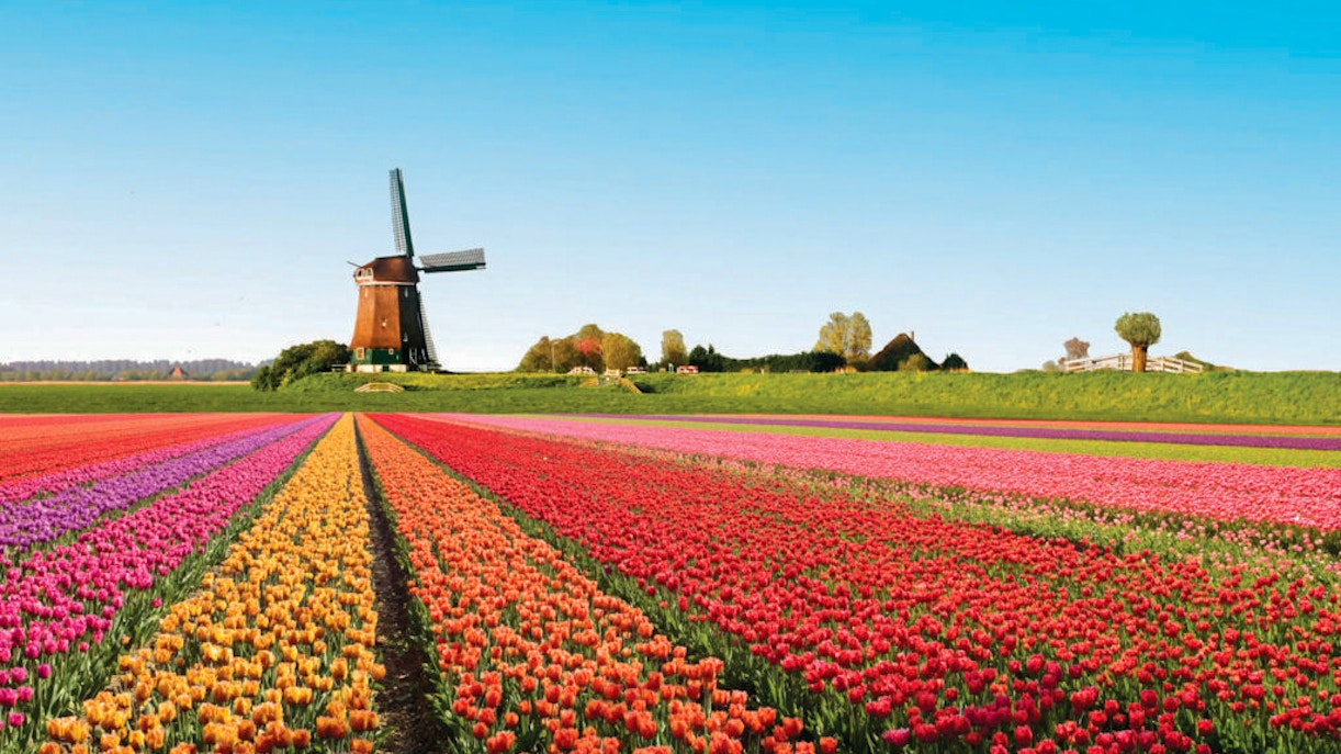 visit keukenhof