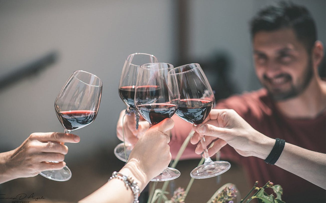 Toasting with red wine glasses during brunch in the lands of Frederik II of Swabia.