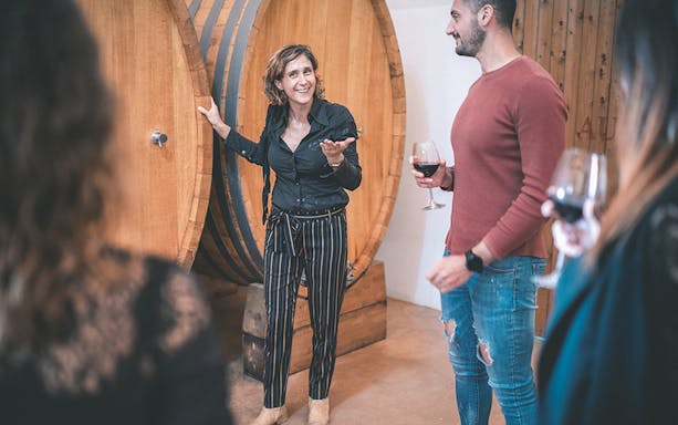 Wine tasting tour in the lands of Frederik II of Swabia with guide and guests.