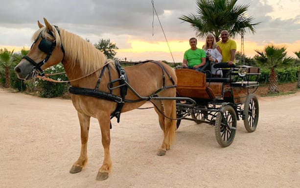 Horse-drawn carriage in front of the Colosseum, Rome, during a guided tour.