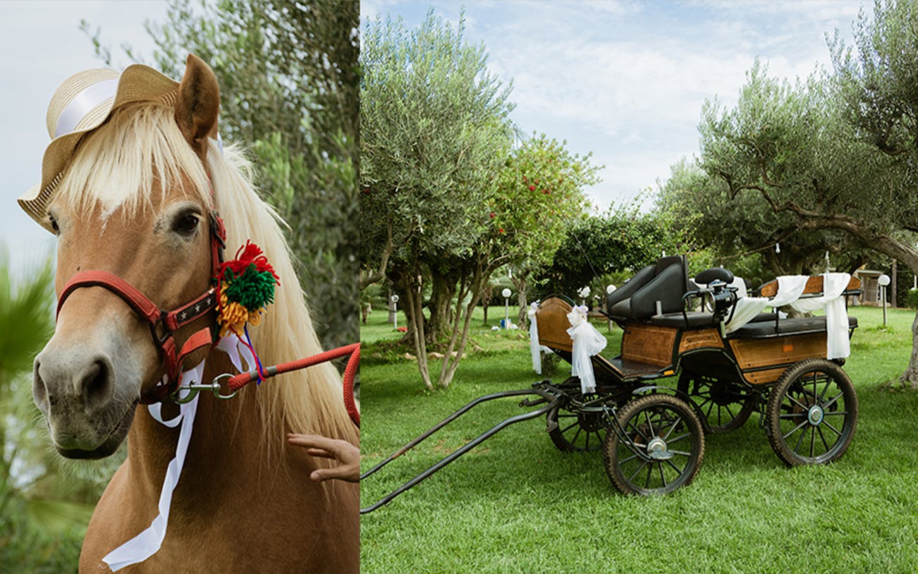 Horse-drawn carriage in front of the Colosseum, Rome, during a guided tour.