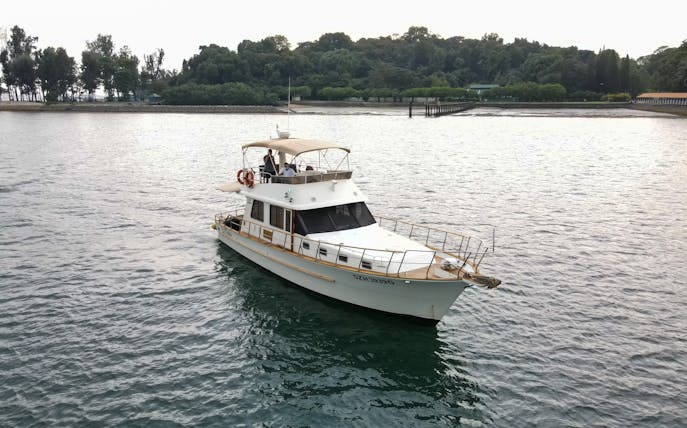 Boat cruising near a forested shoreline during a sunset city skyline tour.