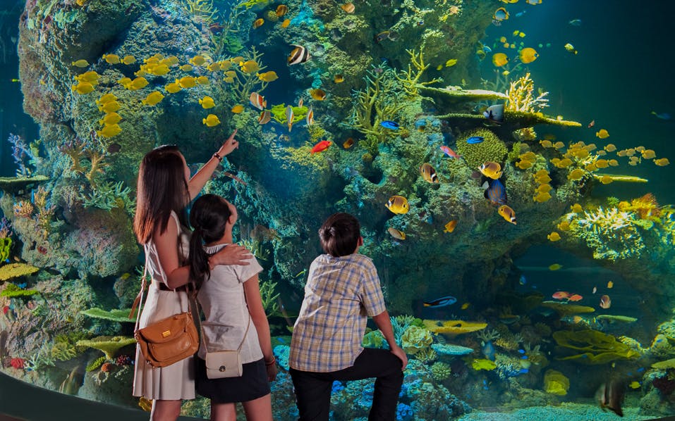 combo: universal studio singapore + s.e.a aquarium™ singapore tickets-18 combo: universal studio singapore + s.e.a aquarium™ singapore tickets-18