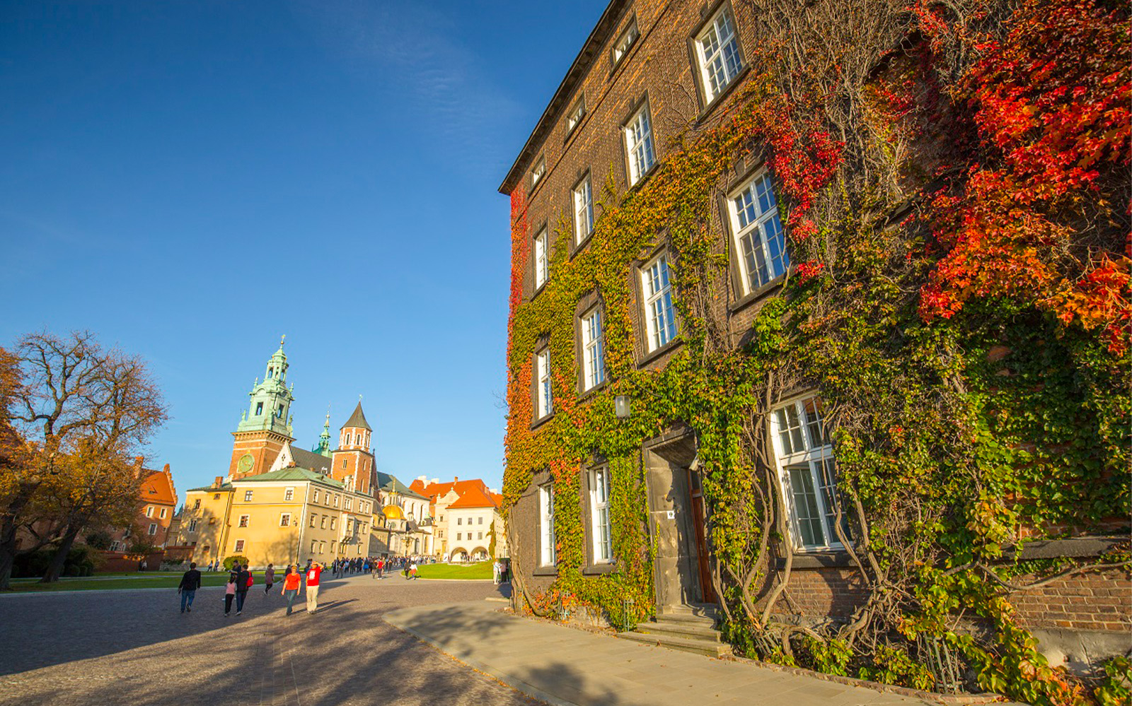 Wawel Castle courtyard with ivy-covered building and tourists, Krakow.
