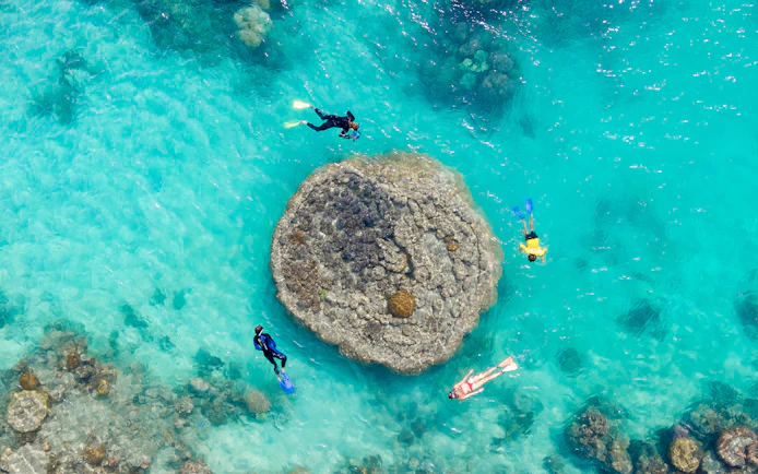 Snorkelers exploring coral reef in clear waters, Whitsundays Fly + Raft Package.