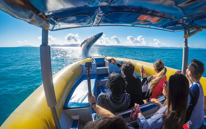 Tourists on a raft watching a whale breach in the Whitsundays.