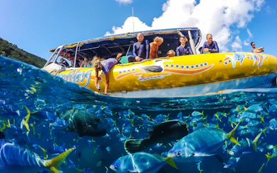 Tourists on a yellow raft in the Whitsundays, viewing colorful fish in clear blue water.