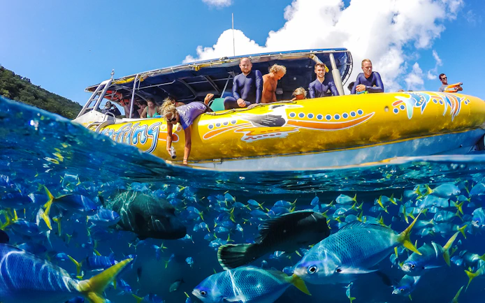 Tourists on a yellow raft in the Whitsundays, viewing colorful fish in clear blue water.