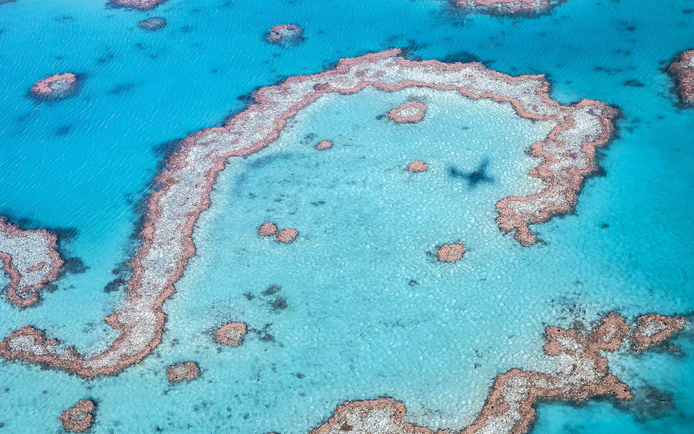 Aerial view of coral formations in the Great Barrier Reef during Whitsundays scenic flight.