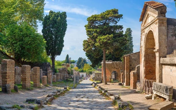 Ancient street in Pompeii with ruins and trees, accessible from Rome by high-speed train.