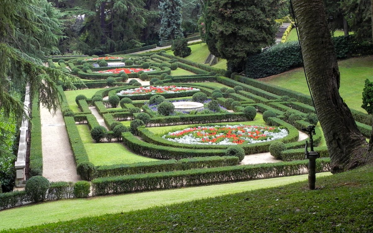 5-hr guided tour of st. peter's basilica & vatican gardens with papal audience tickets-5 5-hr guided tour of st. peter's basilica & vatican gardens with papal audience tickets-5