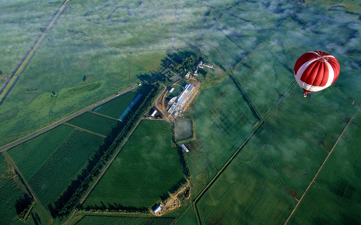 sunrise balloon flight over yarra valley-2 sunrise balloon flight over yarra valley-2