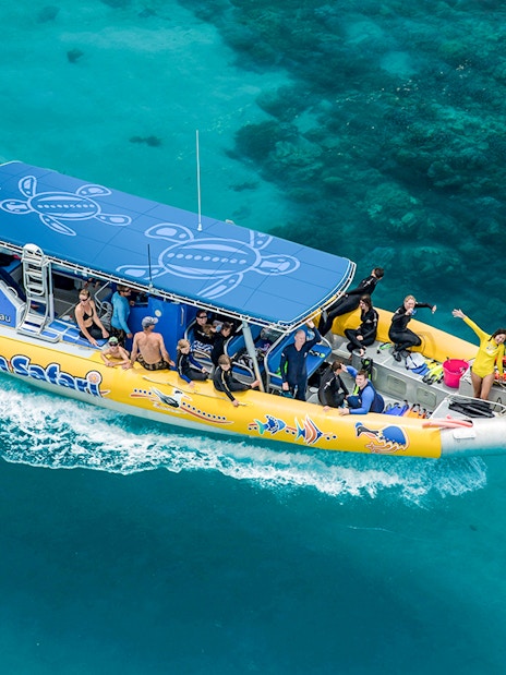 Tourists on a boat enjoying an Ocean Safari Tour over clear blue waters.