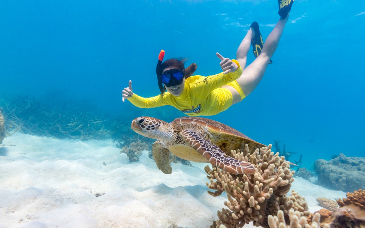 Snorkeler swimming with sea turtle during Ocean Safari Tour.