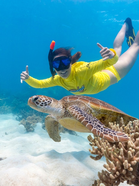 Snorkeler swimming with sea turtle during Ocean Safari Tour.