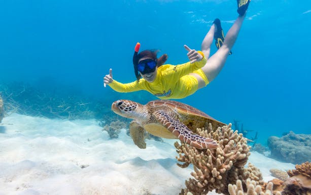 Snorkeler swimming with sea turtle during Ocean Safari Tour.