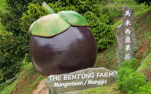 Mangosteen sculpture at The Bentong Farm, Malaysia, with surrounding greenery.