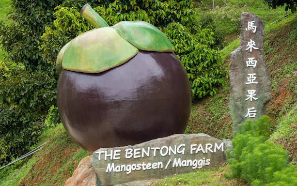 Mangosteen sculpture at The Bentong Farm, Malaysia, with surrounding greenery.