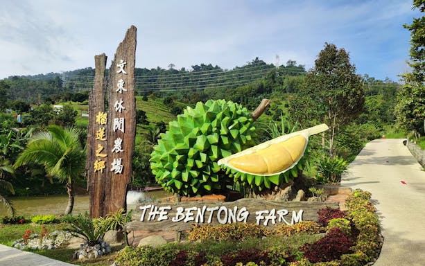 Bentong Farm entrance with durian sculpture and scenic hillside view.
