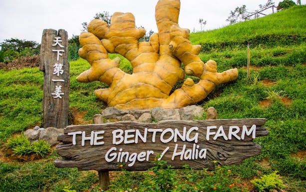 Bentong Farm entrance sign with large ginger sculpture in lush green setting.