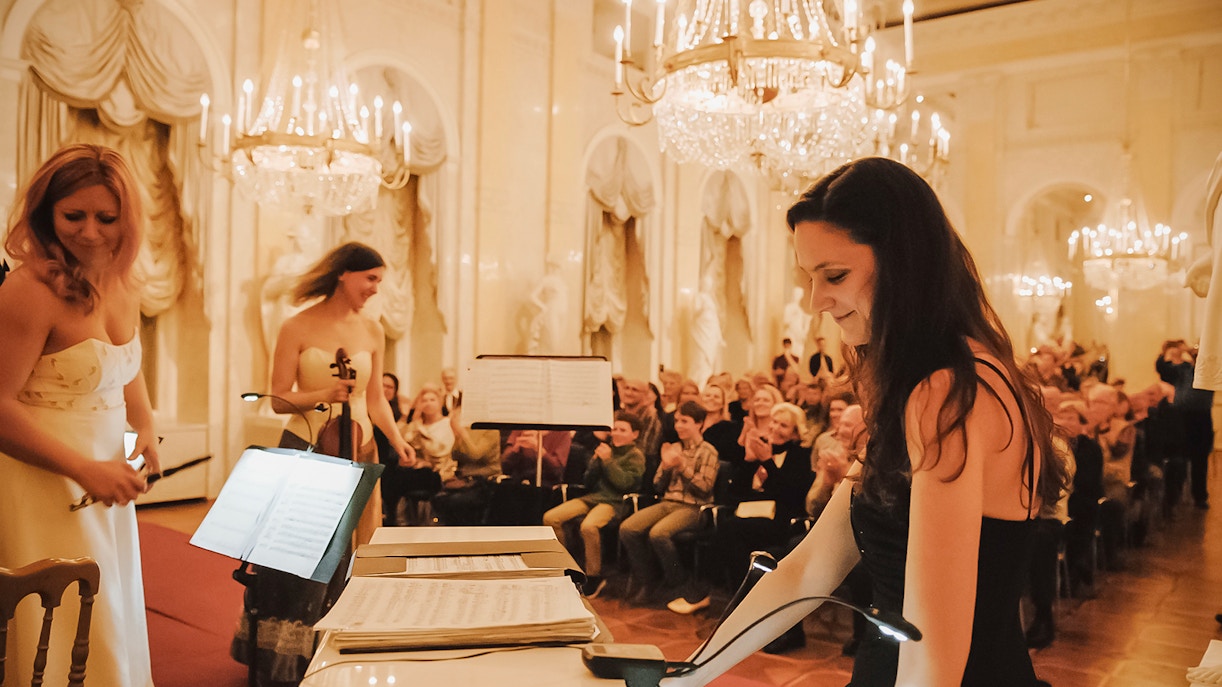 Dinner and Concert in Vienna