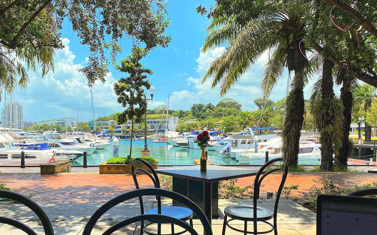 Outdoor dining area overlooking Sentosa marina with yachts and palm trees.