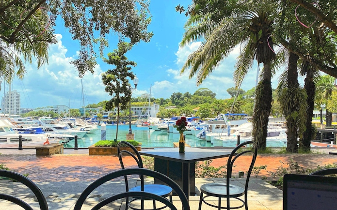 Outdoor dining area overlooking Sentosa marina with yachts and palm trees.