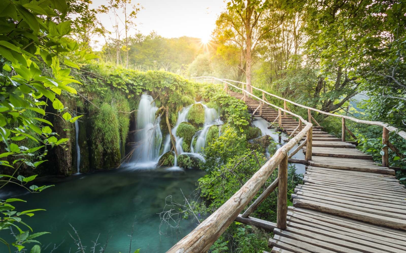 A boardwalk in the water among trees at Plitvice Lakes National Park