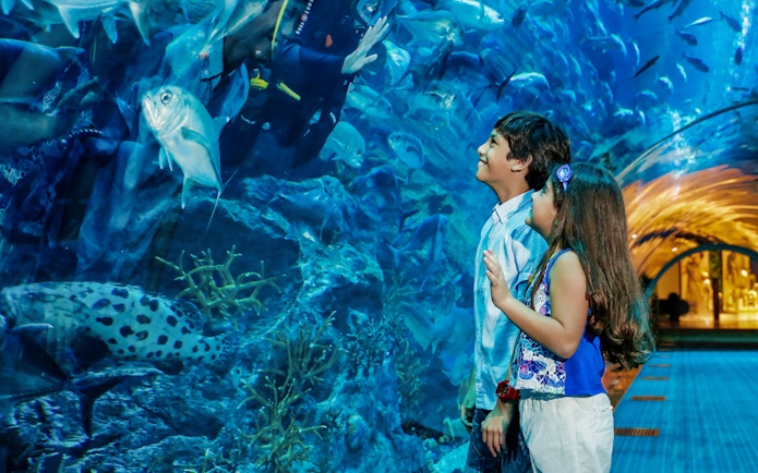 Children observing marine life in the Dubai Aquarium tunnel.