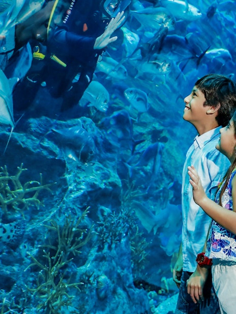 Children observing marine life in the Dubai Aquarium tunnel.