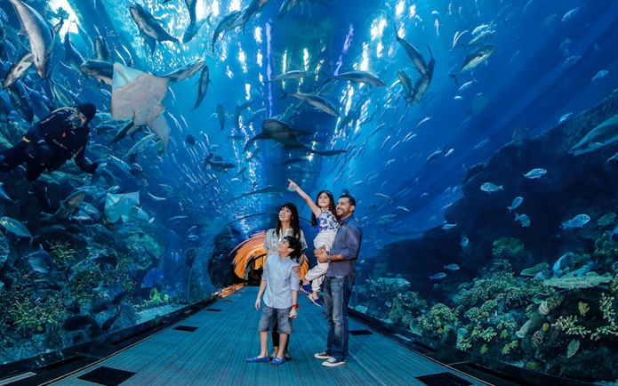 Family exploring underwater tunnel at Dubai Aquarium, surrounded by diverse marine life.