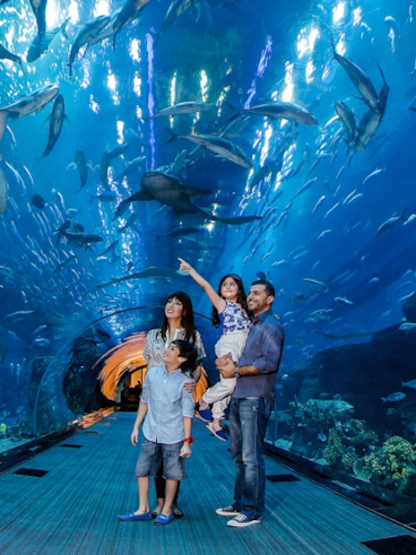 Family exploring underwater tunnel at Dubai Aquarium, surrounded by diverse marine life.