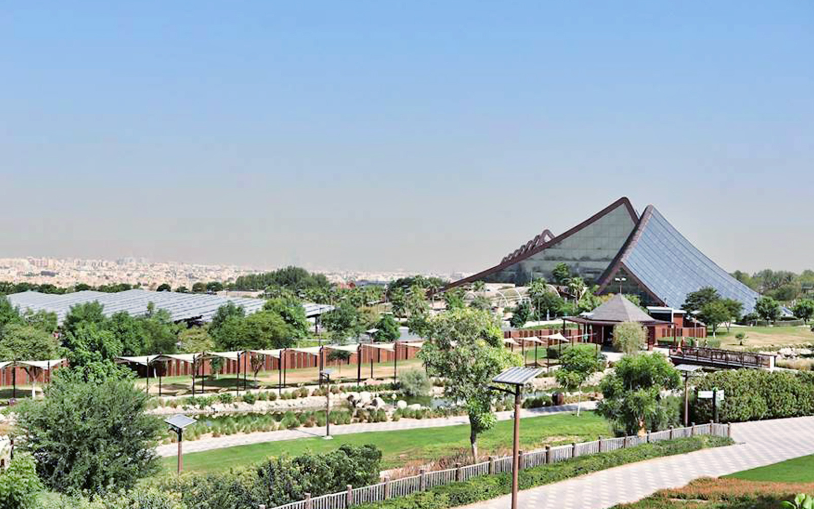 Dubai Safari Park landscape with pyramid-shaped building and lush greenery.