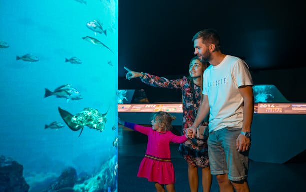 Family exploring an aquarium exhibit at The View at the Palm.