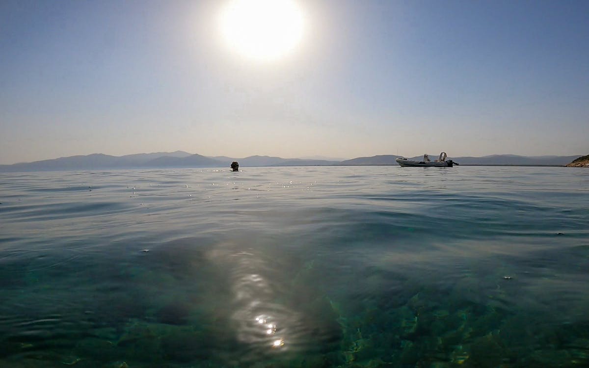 snorkeling boat trips in nea makri, athens-7 snorkeling boat trips in nea makri, athens-7
