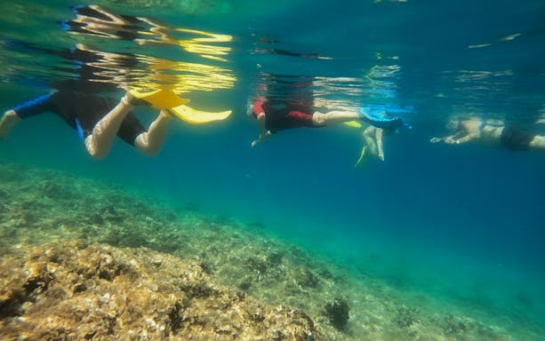 Snorkelers exploring underwater near Nea Makri, Athens.