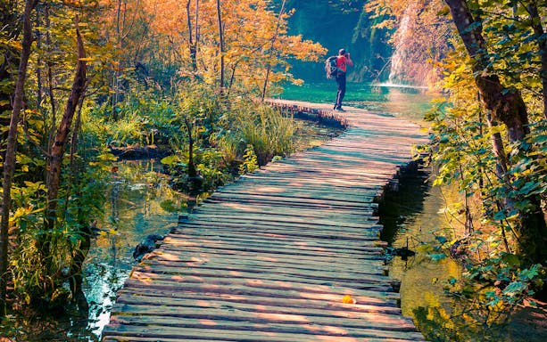 Wooden path through lush forest on Split Guided Walking Tour.