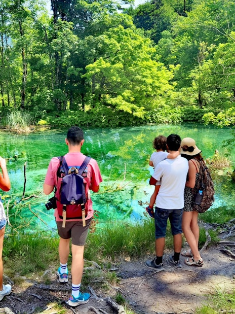 Tourists enjoying the view of a turquoise lake at Plitvice Lakes National Park.