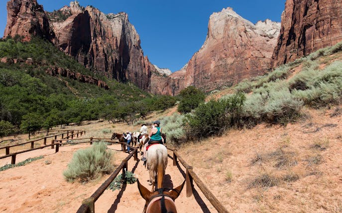 Horseback riders on a trail in Zion National Park with red rock cliffs in the background.